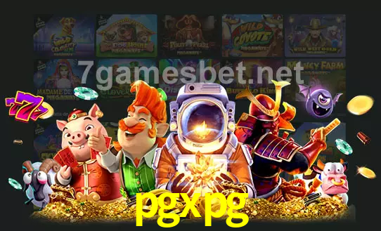 cassino pgxpg